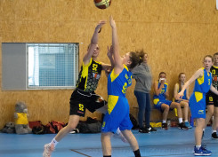 DSC_0216 (1)