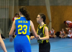 DSC_0227 (1)