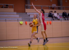 VIT_7953